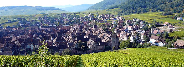 Alsace - Cave de Turckheim