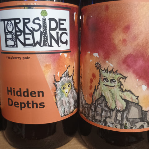 Torrside 'Hidden Depths' Raspberry Pale 4.6% 500ml