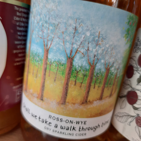 Ross Cider 'Shall We Take A Walk Through Time' Cider 6.6% 75cl