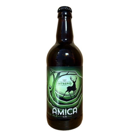 Intrepid 'Amica' Hoppy Pale Ale 4.5% 500ml