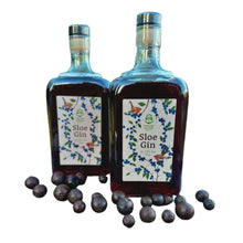 Load image into Gallery viewer, Dancing Anchor Sloe Gin 32% 70cl
